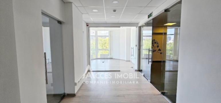 Chirie! Spațiu Comercial 500m2, str. Mitropolit B. Bodoni!: 3