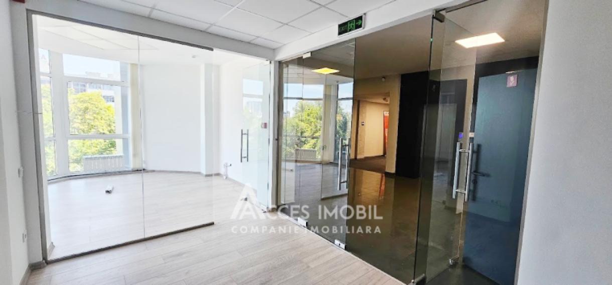 Chirie! Spațiu Comercial 500m2, str. Mitropolit B. Bodoni!: 4