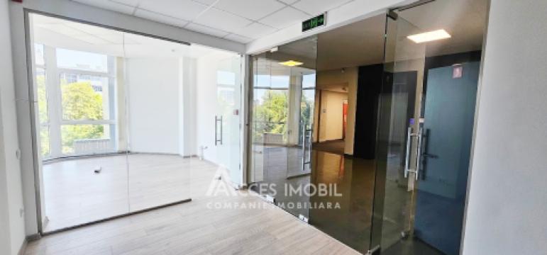 Chirie! Spațiu Comercial 500m2, str. Mitropolit B. Bodoni!: 4