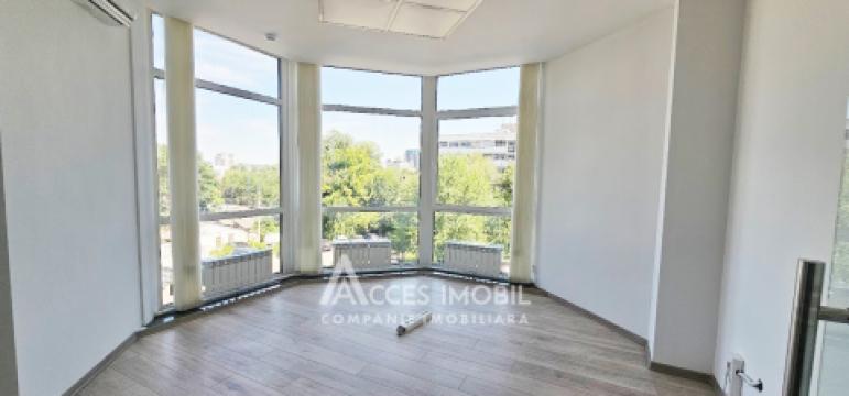 Chirie! Spațiu Comercial 500m2, str. Mitropolit B. Bodoni!: 5