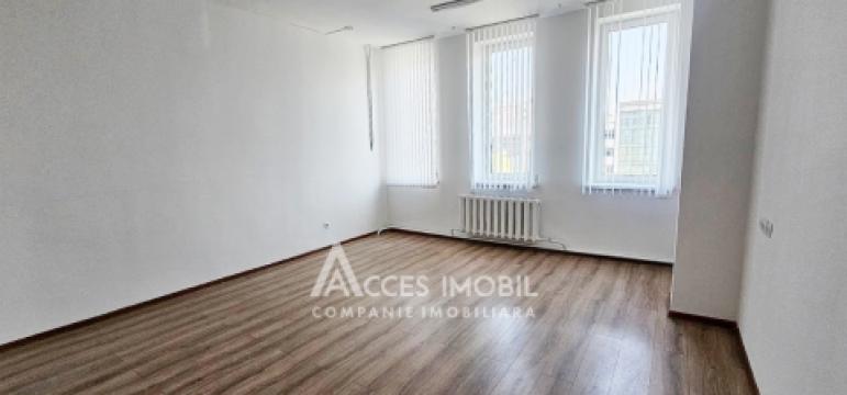 Chirie! Spațiu Comercial 500m2, str. Mitropolit B. Bodoni!: 7