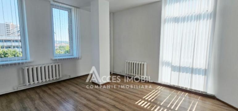 Chirie! Spațiu Comercial 500m2, str. Mitropolit B. Bodoni!: 8