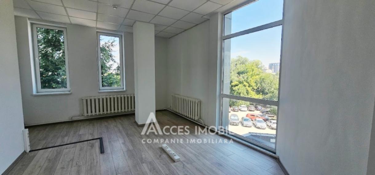 Chirie! Spațiu Comercial 500m2, str. Mitropolit B. Bodoni!: 9