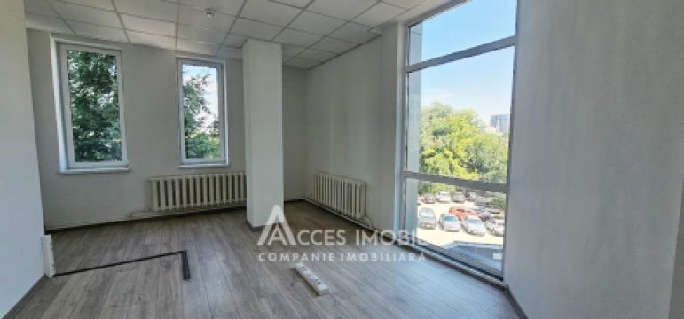 Chirie! Spațiu Comercial 500m2, str. Mitropolit B. Bodoni!: 9