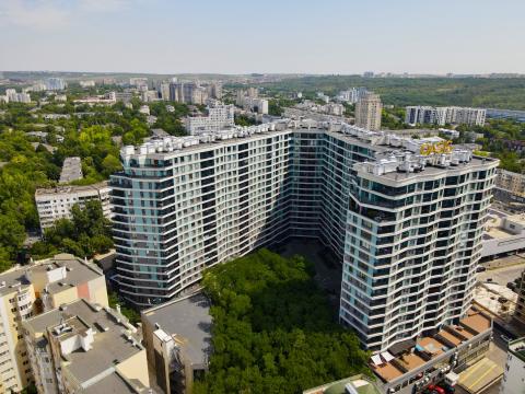 Oasis: Bogdan Voievod: 1