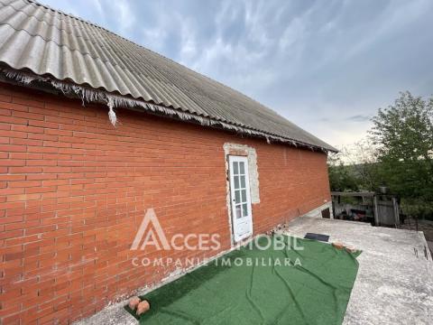 Casă în 2 nivele! Dumbrava, IP Gladiola, 146m2 + 6 ari! Fără Reparație!: 4