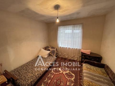 Casă în 2 nivele! Dumbrava, IP Gladiola, 146m2 + 6 ari! Fără Reparație!: 5