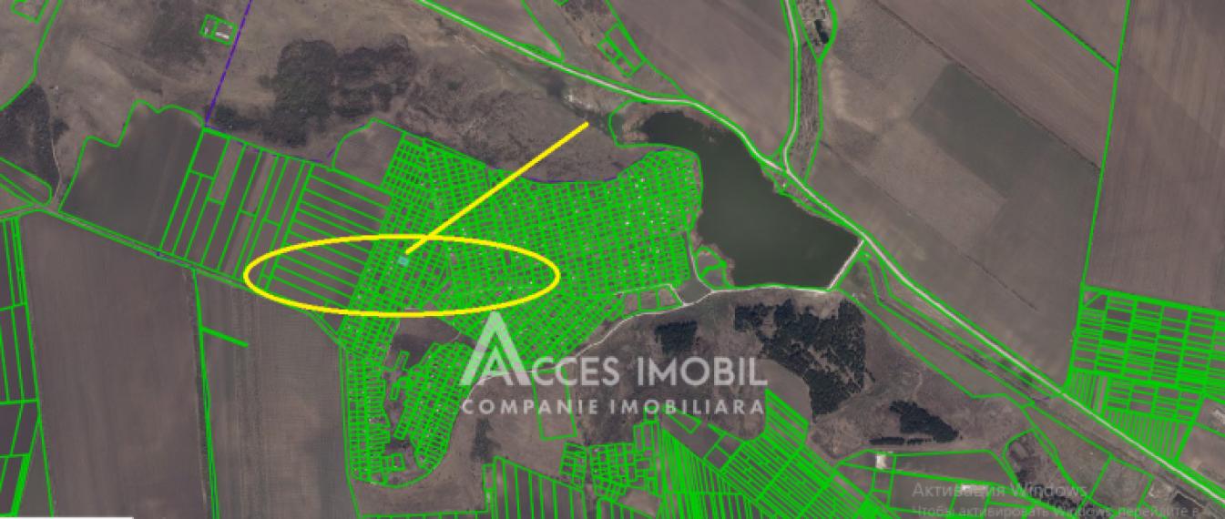Teren pomicol, 6 ari! Maximovca, IP Zarea!: 0