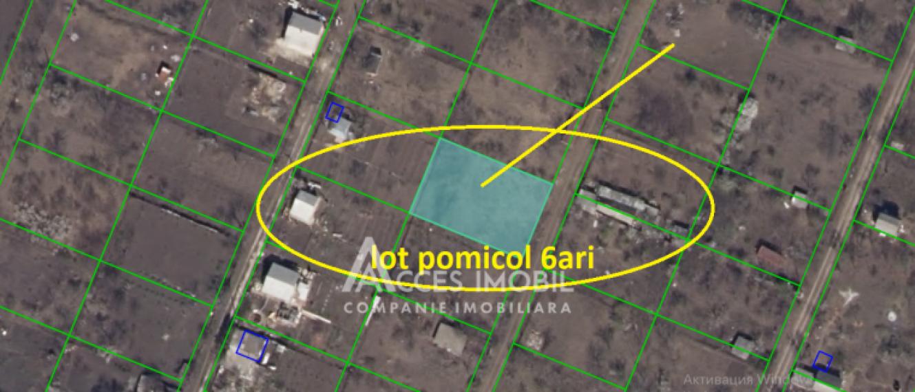 Teren pomicol, 6 ari! Maximovca, IP Zarea!: 1