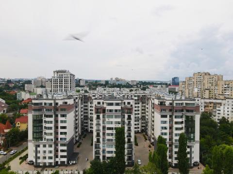 Exfactor: Albișoara: 2