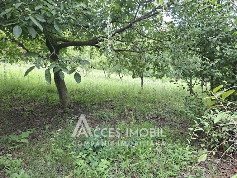 Teren pentru construcții 13 ari. Grătiești, str. Livezilor!: 2