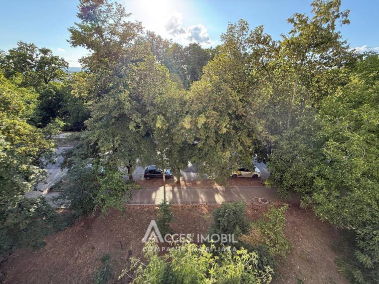 Râșcani, str. Florilor, 2 camere. Euroreparație! De mijloc!: 13