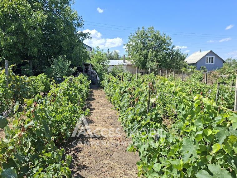 Vilă în 2 nivele, 67m2 + 12 ari! Sîngera, IP Negnic!: 4