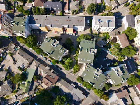 Glorinal: Vlahuță: 4