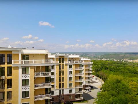 Inamstro: Liviu Deleanu: 7