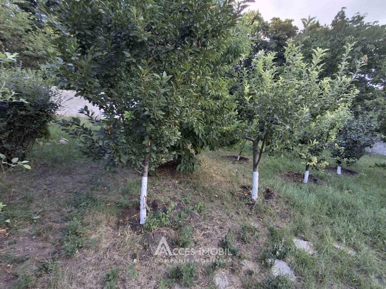 2-х Этажный Дом! ул. Влад Йовицэ, Ботаника, 190м2 + 6 соток! Евроремонт!: 31