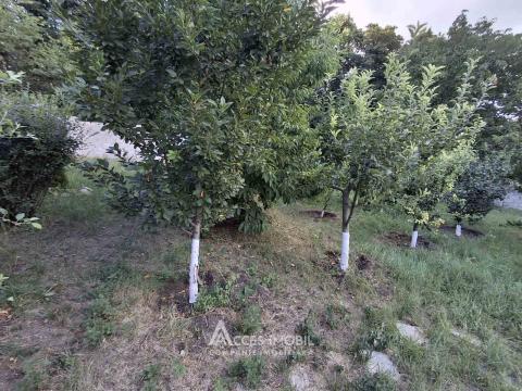 2-х Этажный Дом! ул. Влад Йовицэ, Ботаника, 190м2 + 6 соток! Евроремонт!: 31