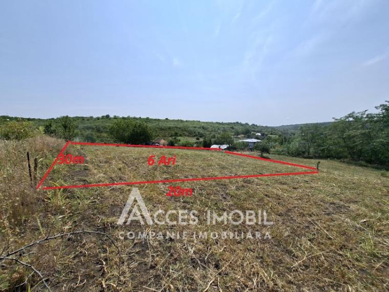 Teren pomicol 6 ari! Buneț, IP!: 0