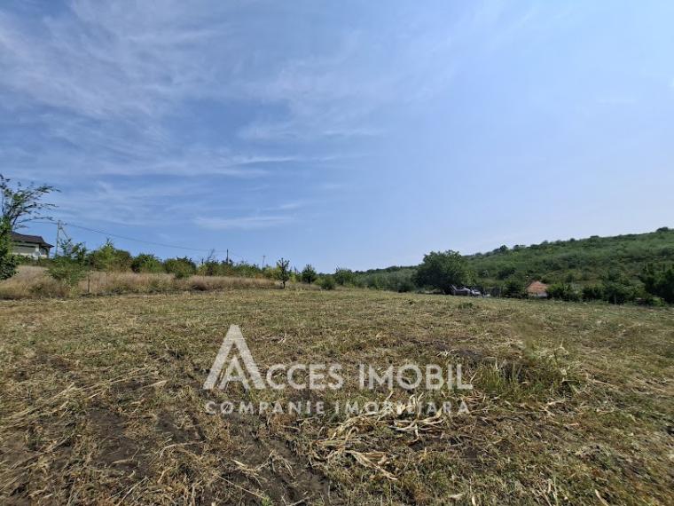 Teren pomicol 6 ari! Buneț, IP!: 1