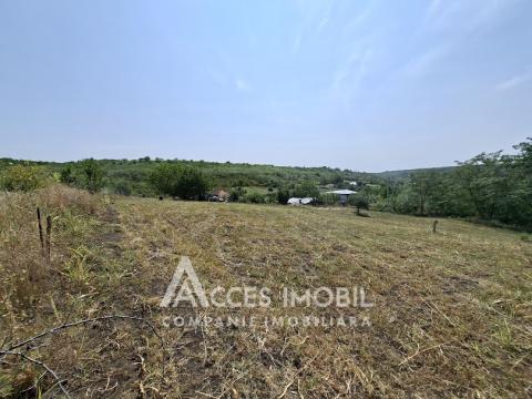 Teren pomicol 6 ari! Buneț, IP!: 2