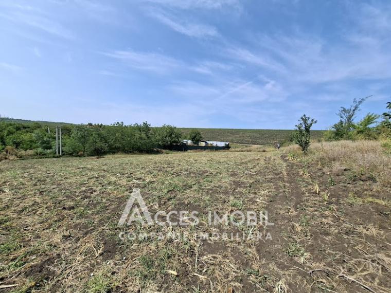 Teren pomicol 6 ari! Buneț, IP!: 3