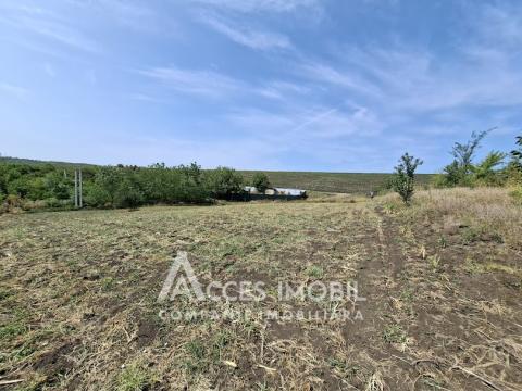 Teren pomicol 6 ari! Buneț, IP!: 3