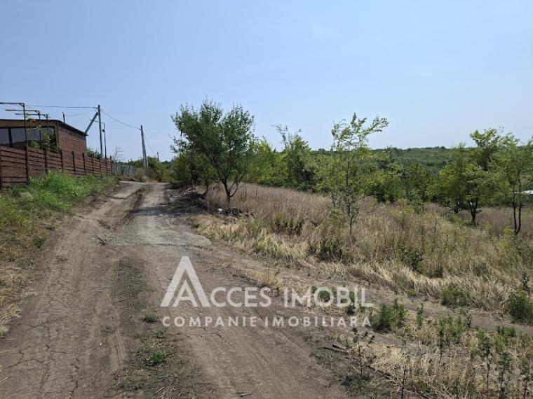 Teren pomicol 6 ari! Buneț, IP!: 5