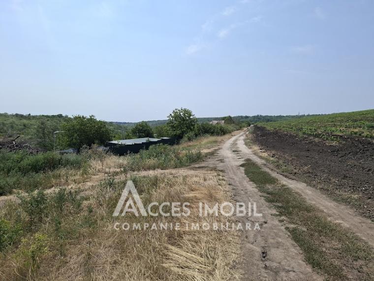 Teren pomicol 6 ari! Buneț, IP!: 6