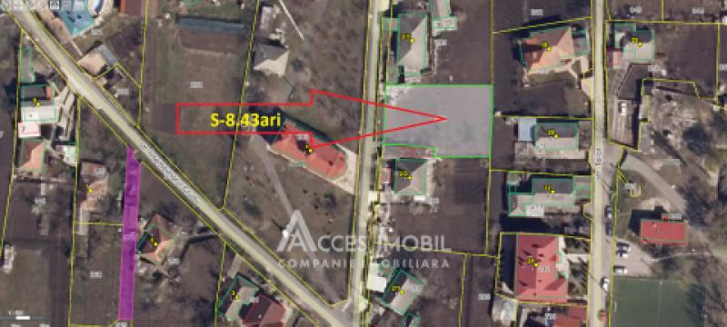 Teren pentru construcții 8.43 ari! Cruzești, str. Întemeietorul Crudu!: 4