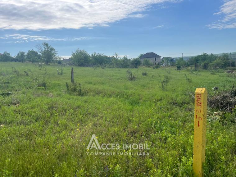 Teren pentru construcții 9 ari, Boșcana!: 0