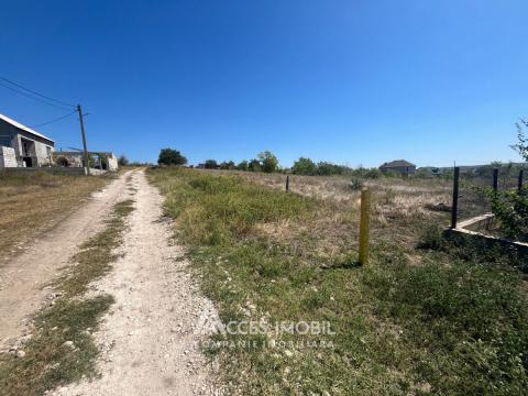 Teren pentru construcții 9 ari, Boșcana!: 2