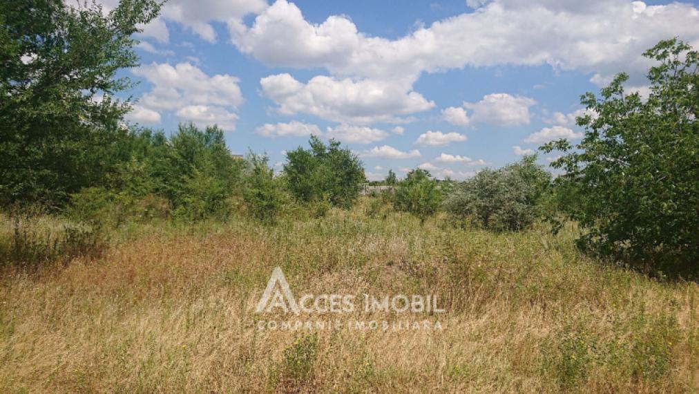 Teren pentru construcții 15 ari, Boșcana!: 0