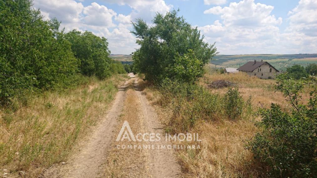 Teren pentru construcții 15 ari, Boșcana!: 2