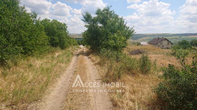 Teren pentru construcții 15 ari, Boșcana!: 2