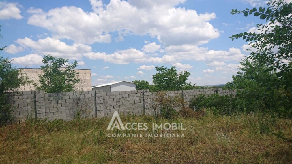 Teren pentru construcții 15 ari, Boșcana!: 3