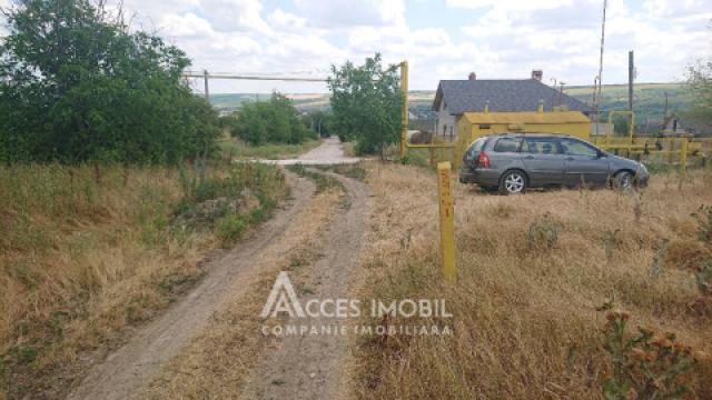 Teren pentru construcții 15 ari, Boșcana!: 4