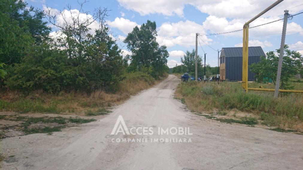 Teren pentru construcții 15 ari, Boșcana!: 6