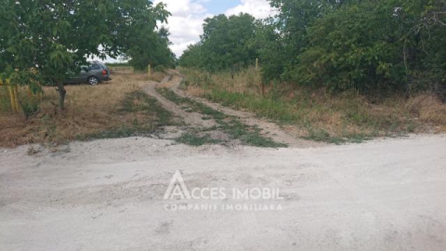 Teren pentru construcții 15 ari, Boșcana!: 7