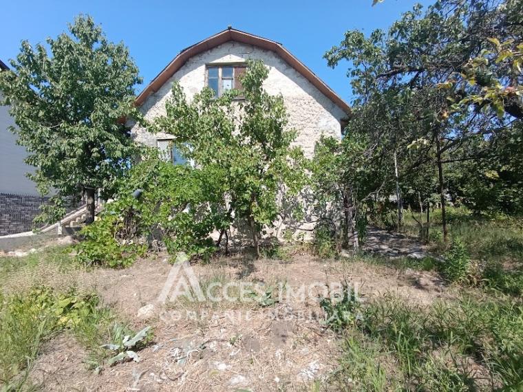 Teren pomicol 6 ari, Codru, str. Ip Vierul!: 1