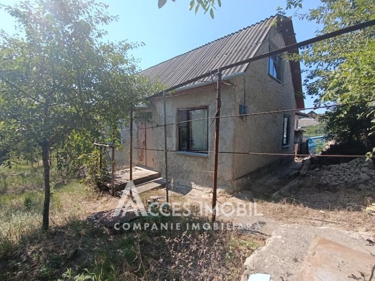 Teren pomicol 6 ari, Codru, str. Ip Vierul!: 2