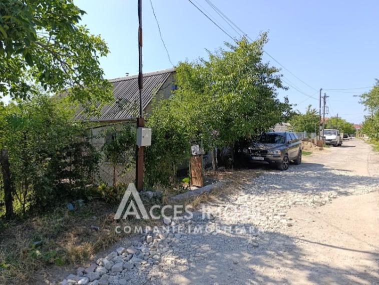 Teren pomicol 6 ari, Codru, str. Ip Vierul!: 4