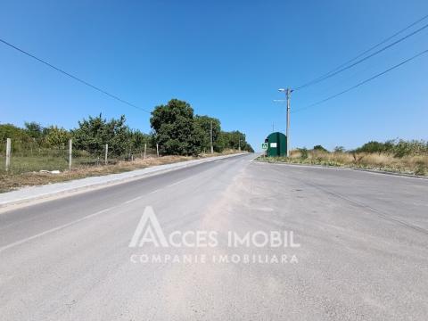 Teren pomicol 6 ari, Codru, str. Ip Vierul!: 6