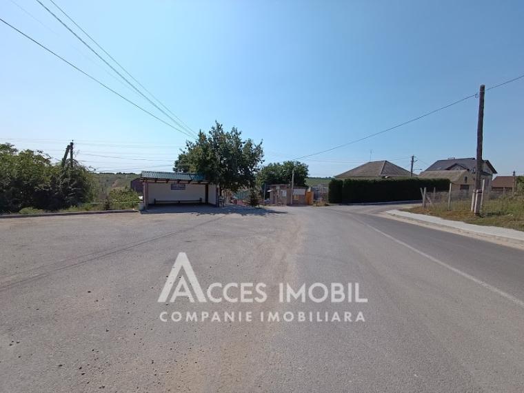 Teren pomicol 6 ari, Codru, str. Ip Vierul!: 7