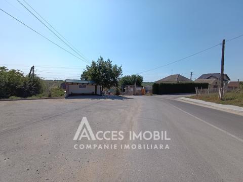 Teren pomicol 6 ari, Codru, str. Ip Vierul!: 7