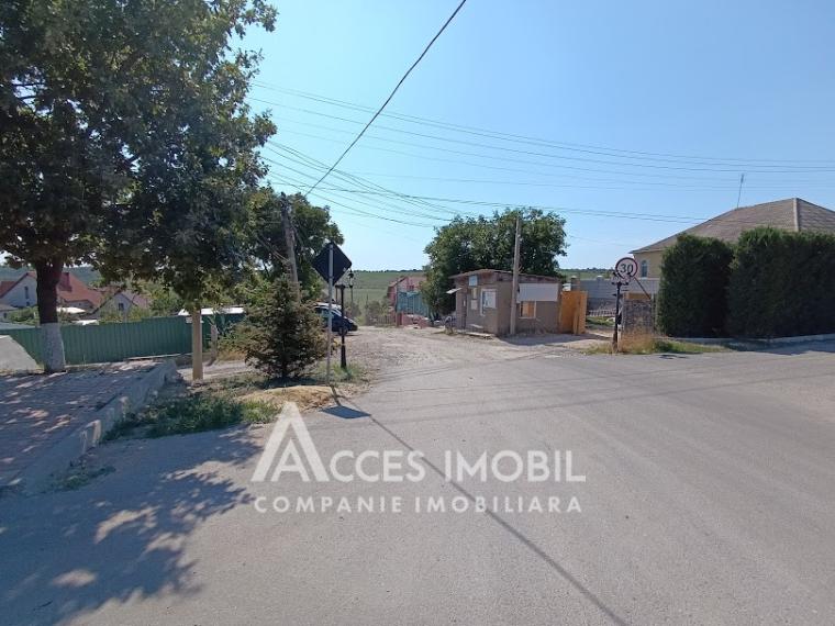 Teren pomicol 6 ari, Codru, str. Ip Vierul!: 8