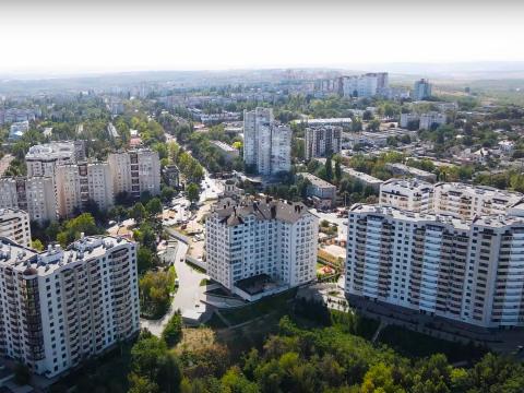 Camelon-Cons: Tudor Strișca: 4