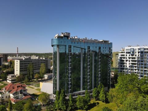 Solomon Construct: Solomon Dendrarium: 1