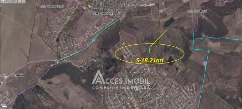 Lot de teren agricol, 18 ari. Extravilan, Colonița!: 5