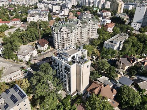 Astercon: Petru Rareș: 7