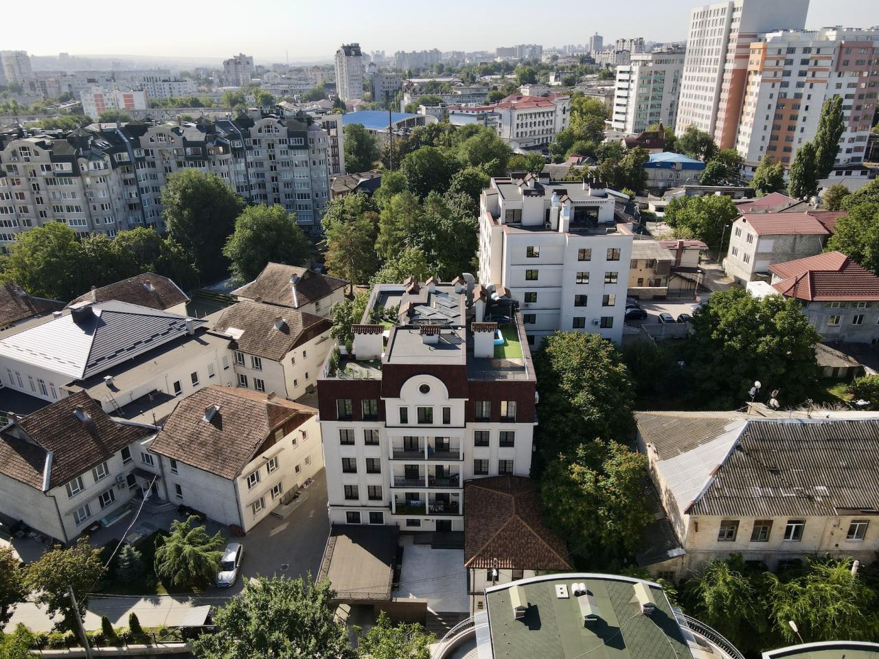 Milanin: Замфир Арборе